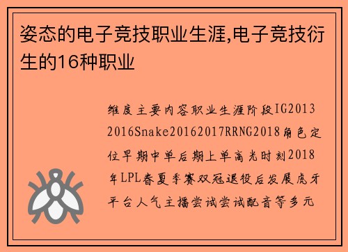 姿态的电子竞技职业生涯,电子竞技衍生的16种职业